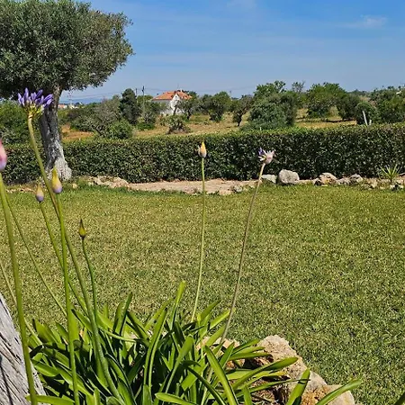 Quinta Do Lagar - Rural Retreat By The #3 Villa *